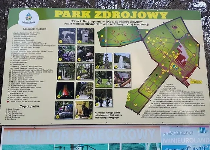 Bluszcz Polanica-Zdrój